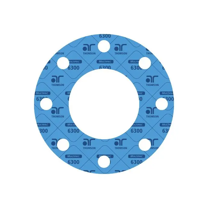 MultiPac 6300 Gasket